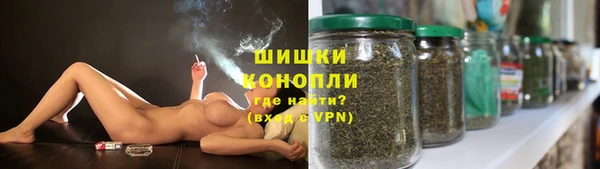 PSILOCYBIN Горнозаводск