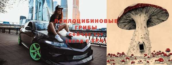 соль курить ск Алексин