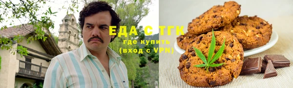 ECSTASY Горняк
